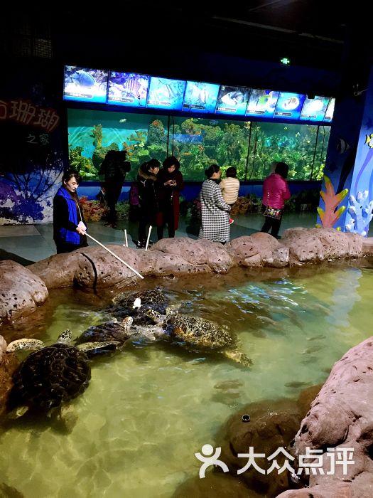 南通海底世界图片 - 第20张
