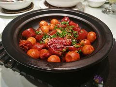 鹌鹑蛋猪尾煲-马仕玖煲·融合菜·酥不腻烤鸭(人大店)