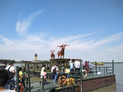 游乐设施-溱湖国家湿地公园