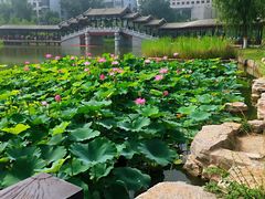 -西海子公园