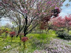 -四明山国家森林公园