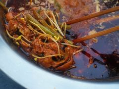 -中和远东火锅兔(老店)