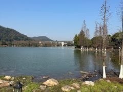 -明月山天沐温泉度假村