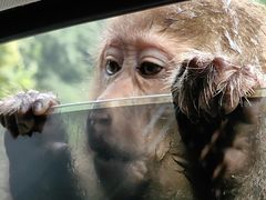 -西岭雪山大飞水景区