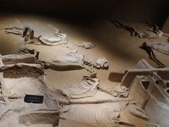 -洛阳周王城天子驾六博物馆