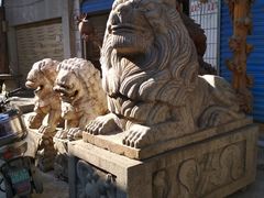 -桂林市花鸟市场