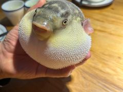 -永安鱼庄·镇江菜(丁卯店)