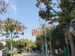 -秋霞圃