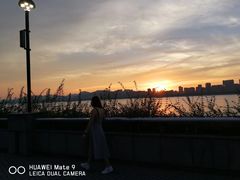 -海河游船-永乐码头(大悲院)