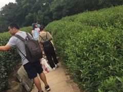 -西湖风景区十里琅珰-五云山