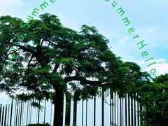 -煲煲掂风味煲仔饭餐厅(西区店)