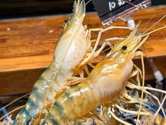 -枫伝料理居酒屋