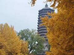 -玲珑塔公园