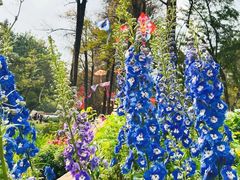 -人民公园(罗湖区)