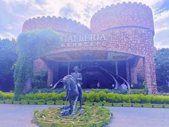 -J Create城市露营咖啡·简餐·宠物(上海动物园店)