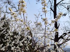 -北京西山国家森林公园