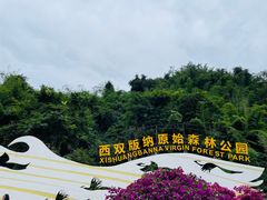 -西双版纳原始森林公园