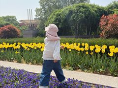 -石家庄市植物园