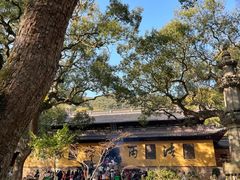 -普陀山风景名胜区-法雨禅寺