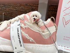 -纳吉亚猫专科动物诊疗中心(蒋宅口分院)