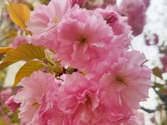 -莲花池公园