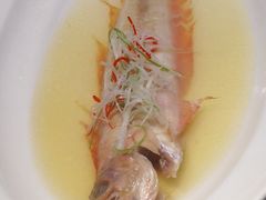 -涵苑私宴定制(外滩店)