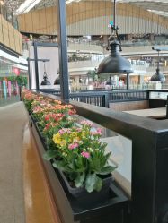 -英氏YeeHoO(颐堤港店)