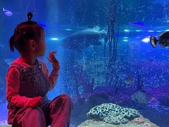 -沈阳海洋探索中心