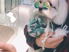 -萌宠主义宠物生活馆(金山路店)