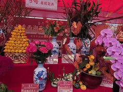 -越秀西湖花市(广州城市广场花卉店)