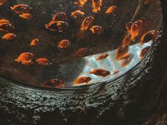 -珠海长隆海洋王国