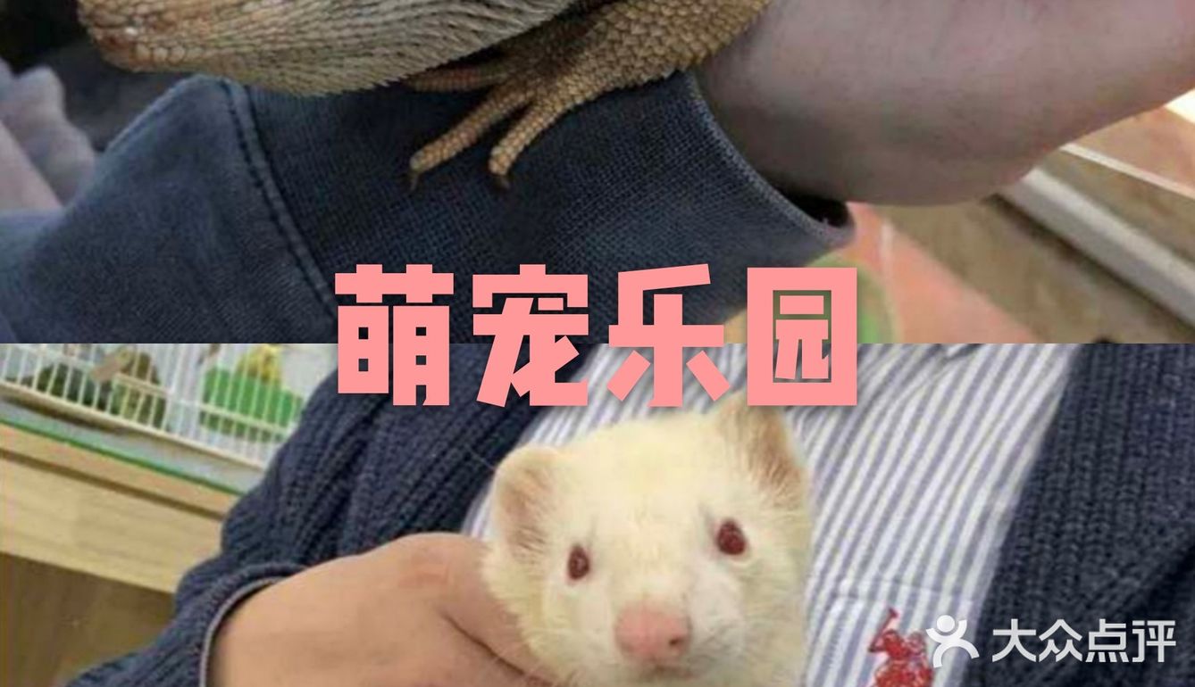 萌宠乐园[调皮]