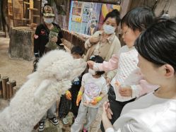 -宝燕乐园(闵行旗舰店)