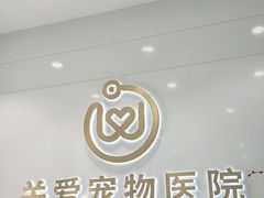 -关爱宠物医院·猫科中心·消化科(滨湖万达分院)