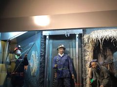 -陕西自然博物馆