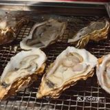 生蚝自由你值得拥有