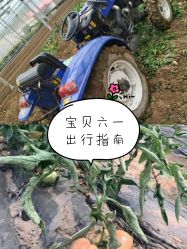 -麦粒鸟亲子游