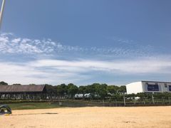 -碧海金沙