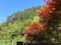 -石门洞景区