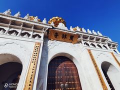 -上海东林寺(金山区)
