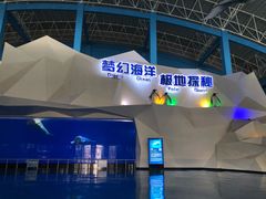 -泉城欧乐堡海洋极地世界