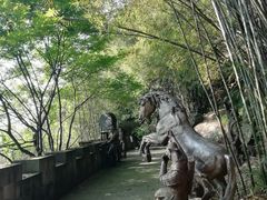 -铁山坪森林公园