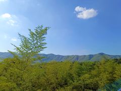 -陶祖圣境风景区