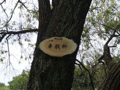 android_upload_pic-东莞市可园博物馆