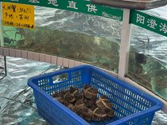 -品鲜村农家菜·阳澄湖大闸蟹(总店)