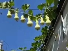 -胖哥俩肉蟹煲(福州仓山爱琴海店)