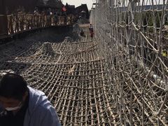 -呀路古热带植物园