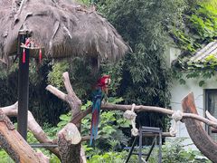 -上海动物园(地铁站)