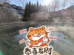 -大连金石滩绿发温泉假日酒店
