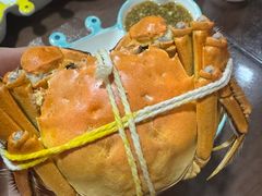 -黄记大闸蟹专卖店·活蟹·醉蟹